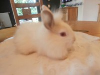 /album/galerie-de-photos-galerie-photos/a1374907-247564615396351-1567095077-n-jpg1/