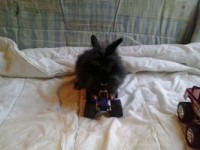 /album/galerie-de-photos-galerie-photos/a1455106-1396735033898053-207621377-n-jpg1/